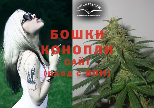 PSILOCYBIN Покров