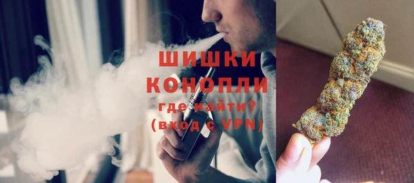 PSILOCYBIN Покров