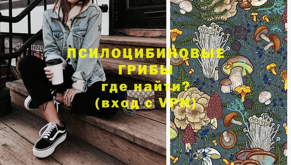 PSILOCYBIN Покров