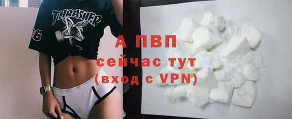 PSILOCYBIN Покров