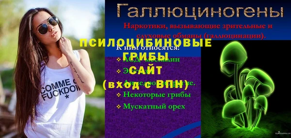 прущие крисы Вяземский