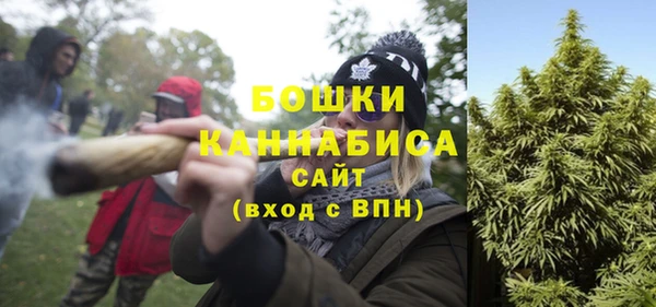 PSILOCYBIN Покров