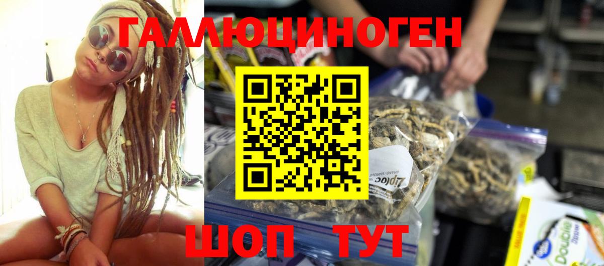 Псилоцибиновые грибы Magic Shrooms  Вход с VPN  Черногорск 